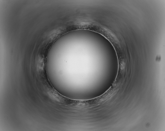 X0000102381204200808011529
