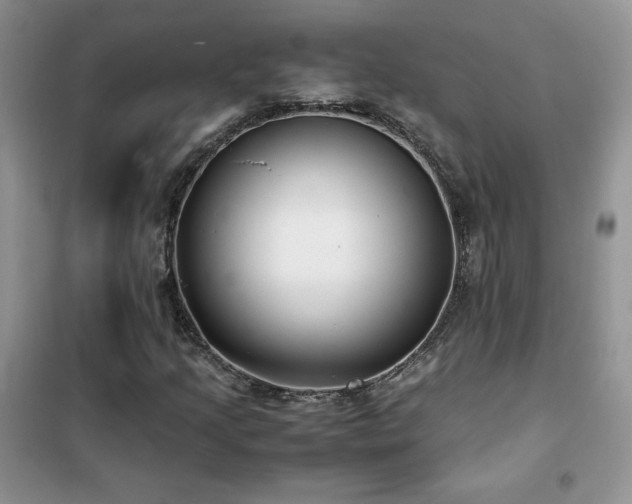 X0000102381205200808011529