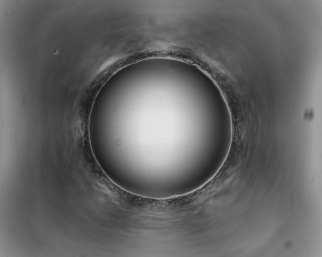 X0000102381206200808011529