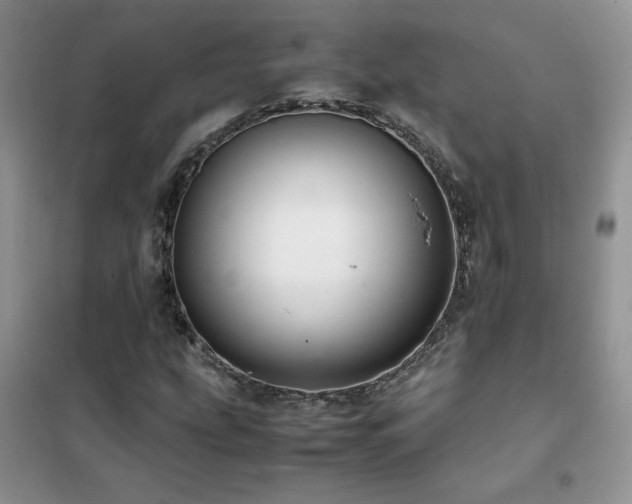 X0000102381207200808011529