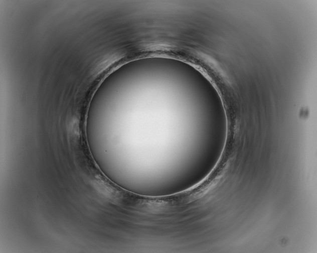 X0000102381209200808011529