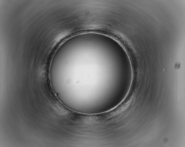 X0000102381210200808011529