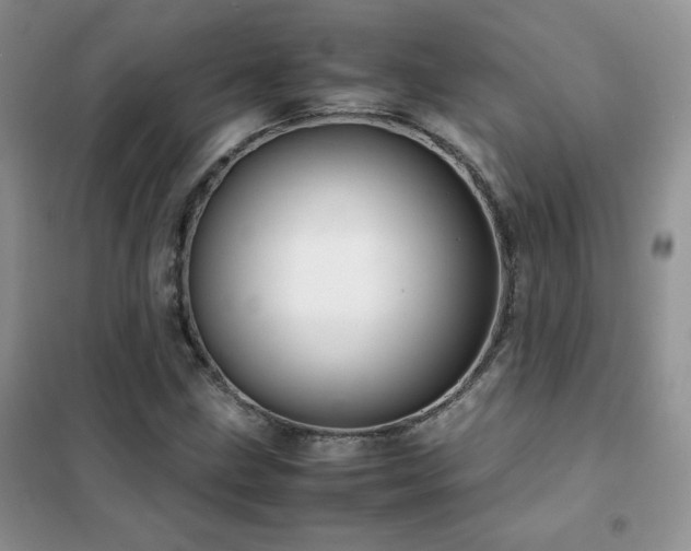 X0000102381211200808011529