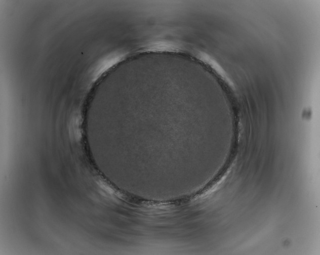 X0000102381213200808011529