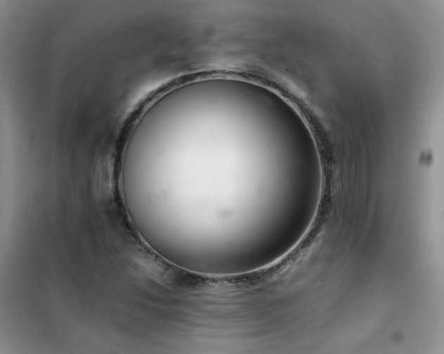 X0000102381214200808011529