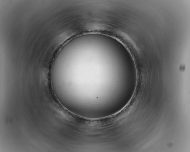 X0000102381217200808011529