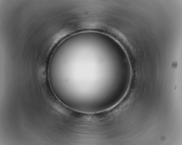 X0000102381218200808011529