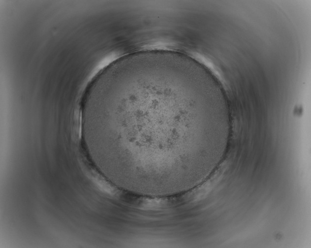 X0000102381219200808011529