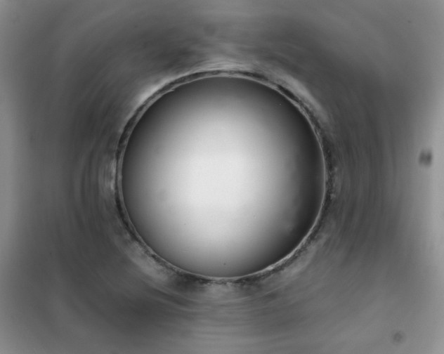 X0000102381220200808011529