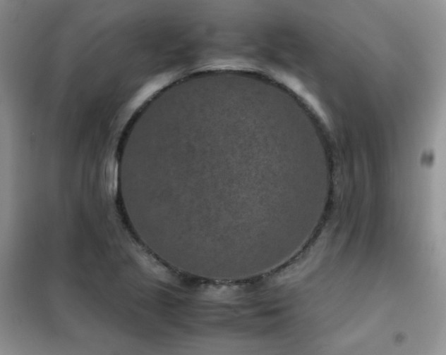 X0000102381221200808011529