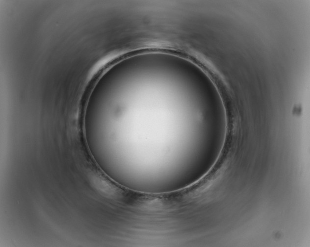 X0000102381222200808011529