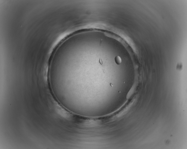 X0000102381224200808011529