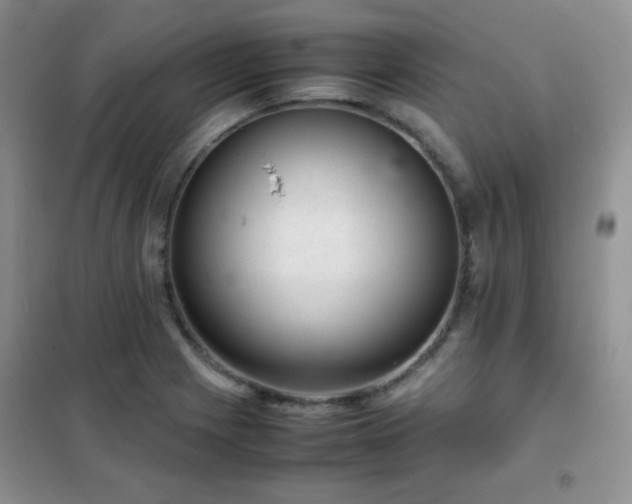 X0000102381225200808011529