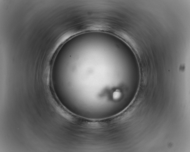 X0000102381227200808011529