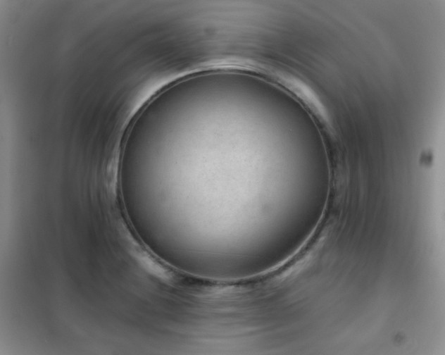 X0000102381228200808011529