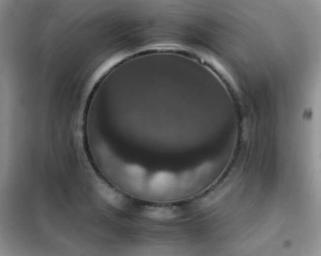 X0000102381229200808011529