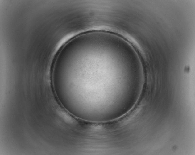 X0000102381230200808011529