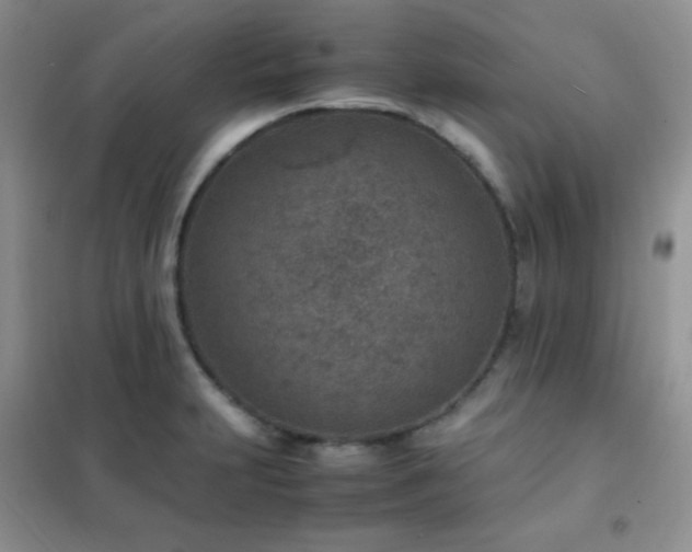 X0000102381231200808011529