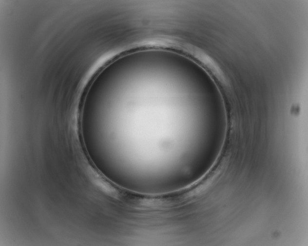 X0000102381232200808011529