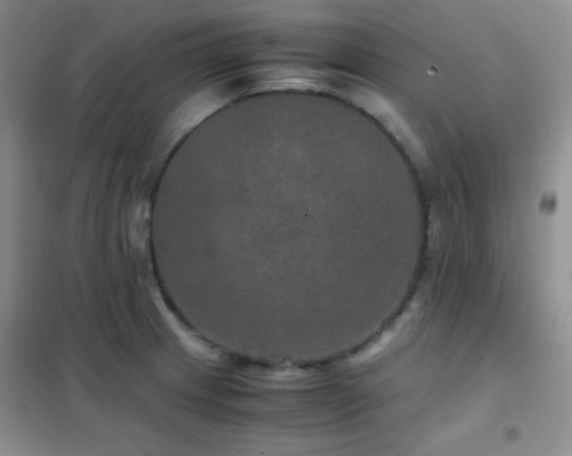 X0000102381233200808011529
