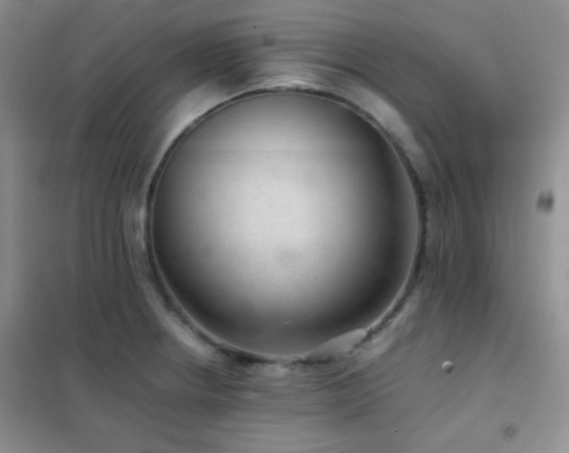 X0000102381234200808011529