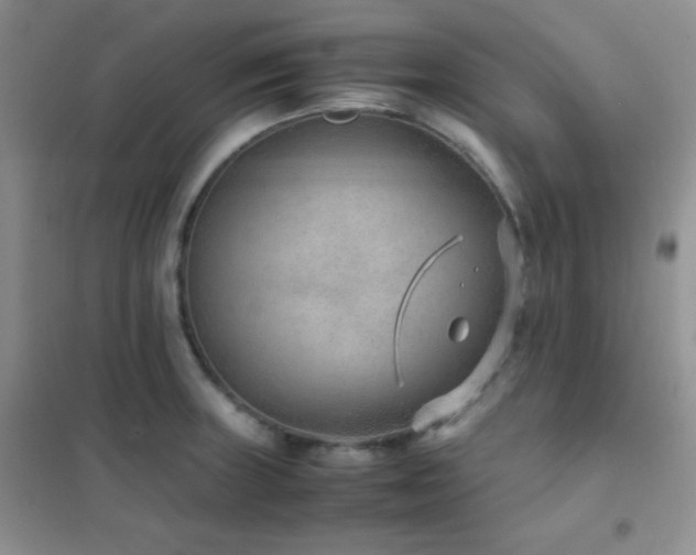 X0000102381235200808011529