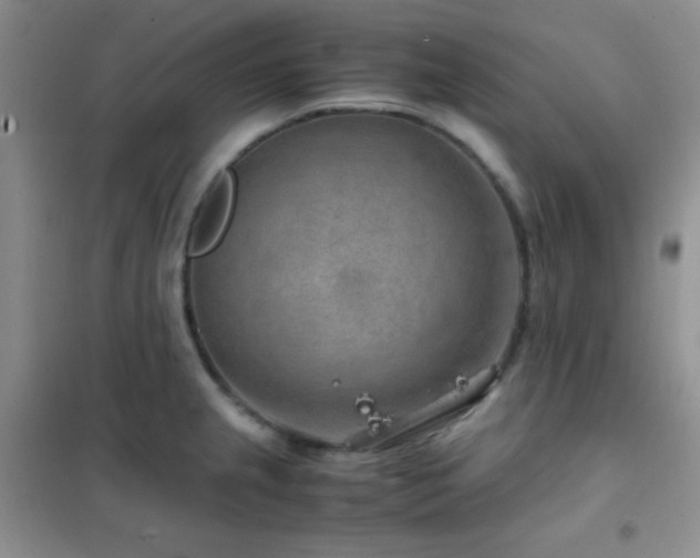 X0000102381237200808011529