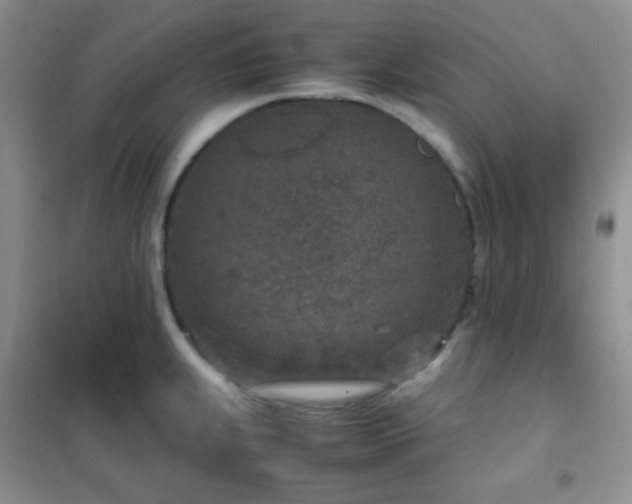 X0000102381239200808011529
