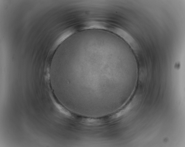 X0000102381241200808011529