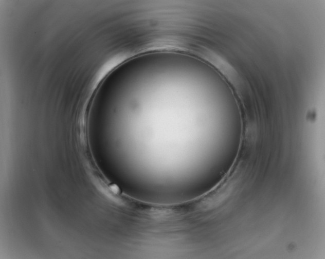 X0000102381242200808011529