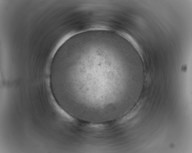 X0000102381243200808011529