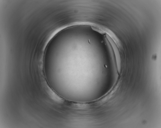 X0000102381244200808011529