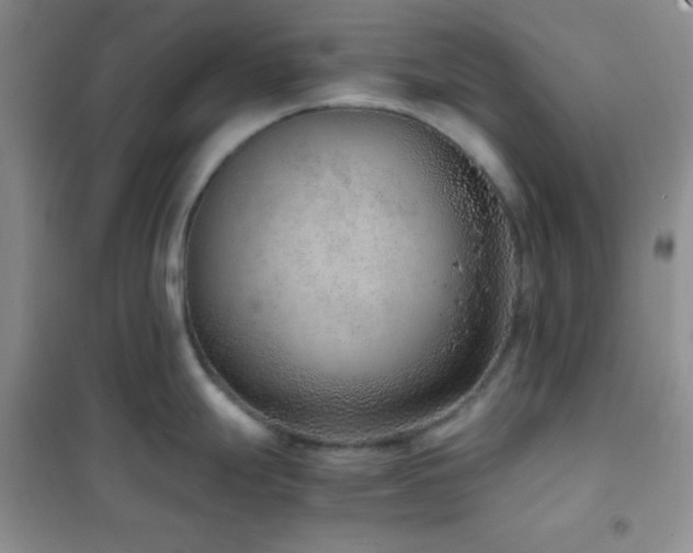 X0000102381247200808011529