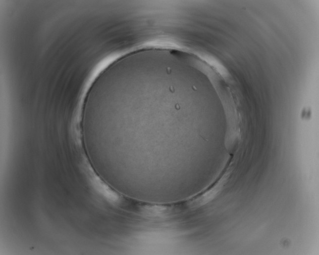 X0000102381248200808011529
