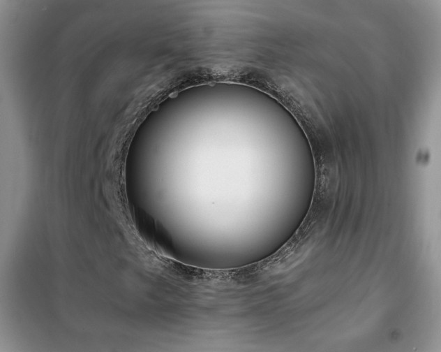 X0000102381249200808011529