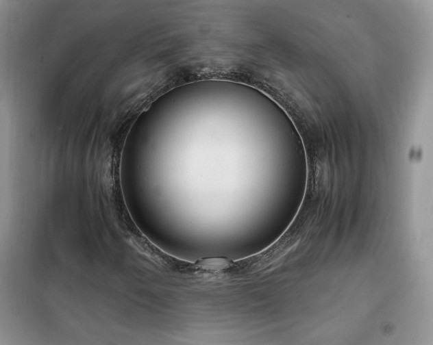 X0000102381250200808011529