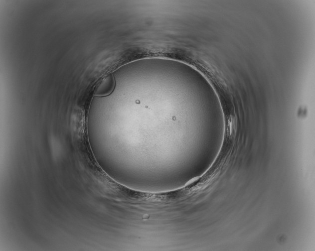 X0000102381251200808011529