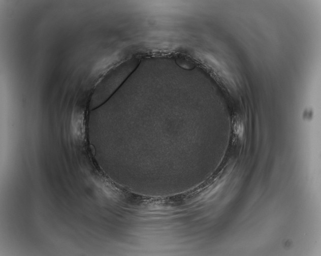 X0000102381252200808011529