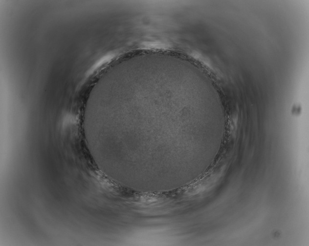 X0000102381254200808011529