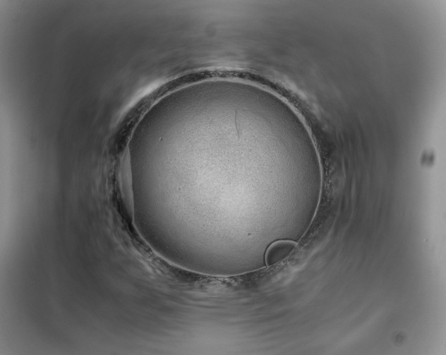 X0000102381255200808011529