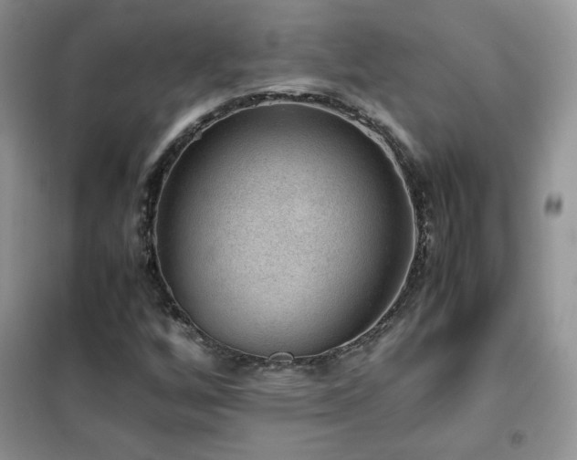 X0000102381256200808011529