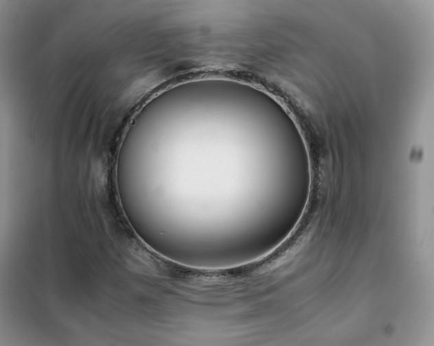X0000102381257200808011528
