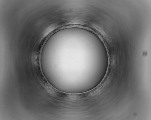 X0000102381258200808011528