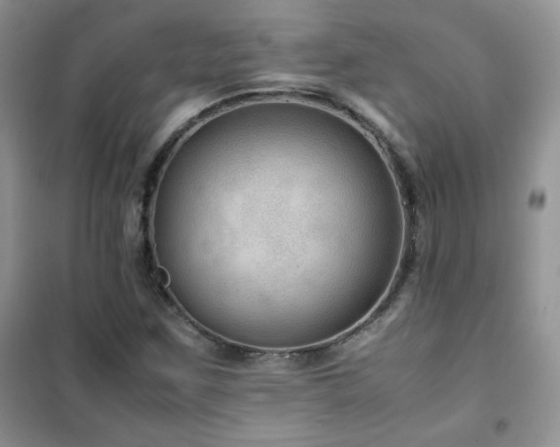 X0000102381259200808011528
