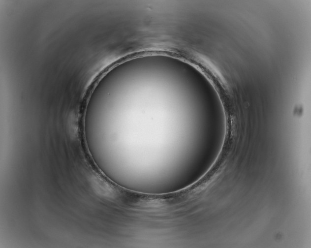X0000102381260200808011528