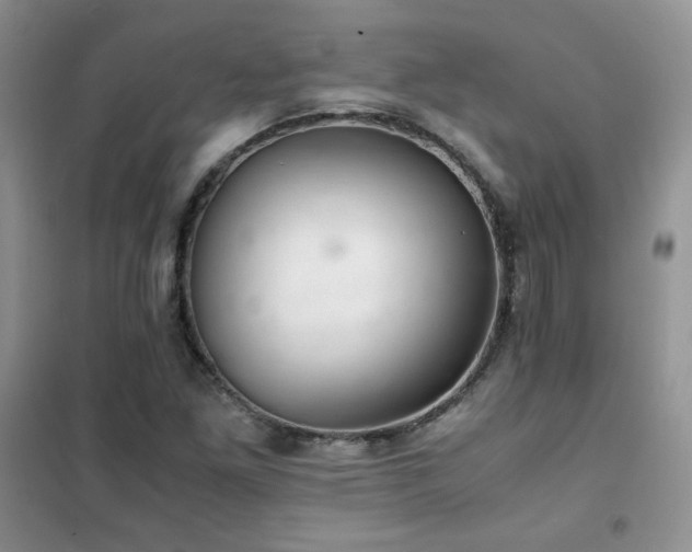 X0000102381261200808011528