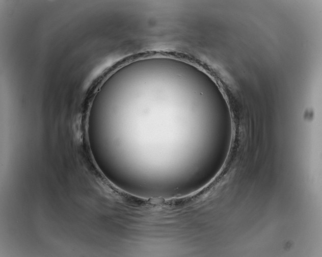 X0000102381262200808011528