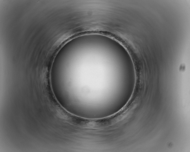 X0000102381265200808011528