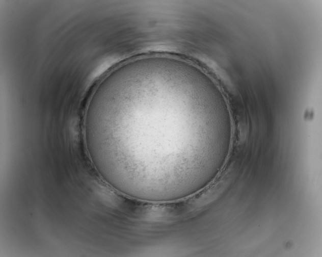 X0000102381266200808011528