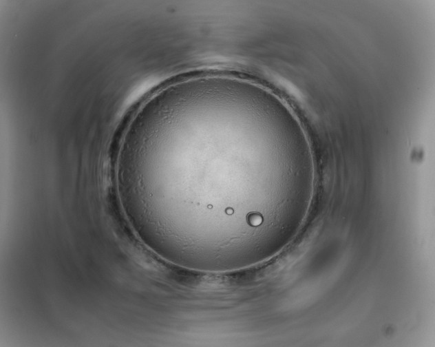X0000102381267200808011528